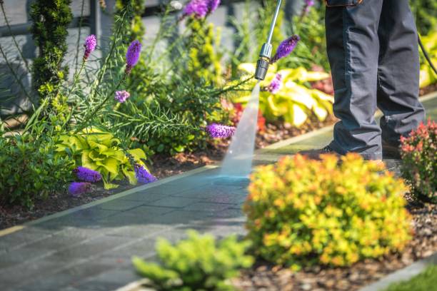 Best Animal Enclosure Cleaning  in Winchester, VA