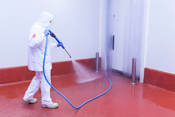 Best Post-Construction Pressure Washing  in Winchester, VA
