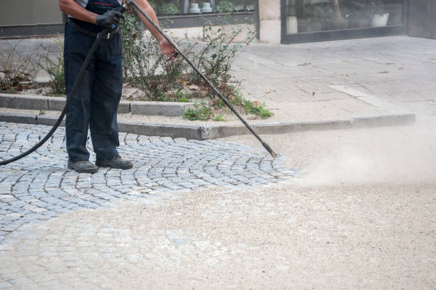 Best Gutter Cleaning  in Winchester, VA