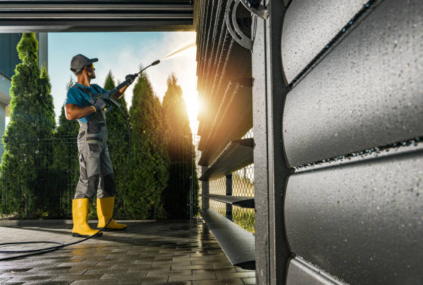 Best Graffiti Removal  in Winchester, VA
